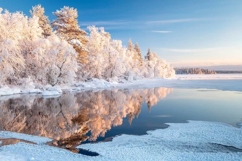 Snow-covered trees reflected in a semi-frozen lake