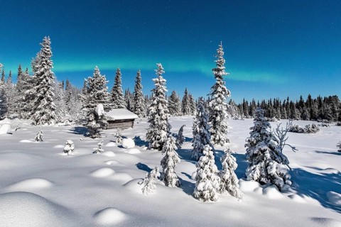 Northern Lights (Aurora Borealis) with starry sky over snow-covered hut in winter landscape