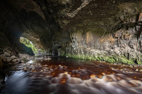 Oparara Arch