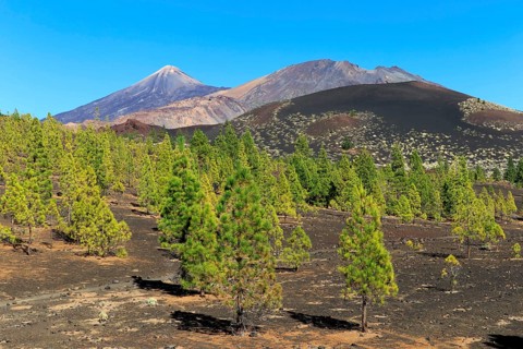 Mount Tiede