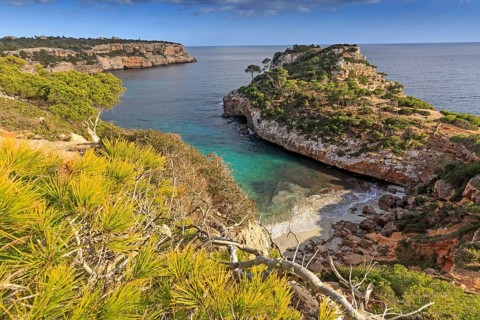Rocky coast