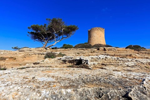 Tower of Cala Pi