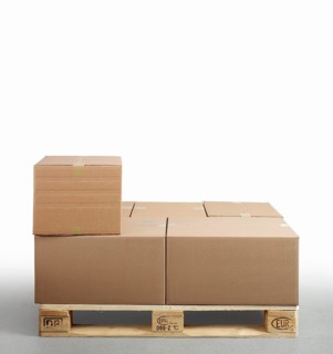 Cartons on Euro pallet