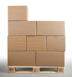 Cartons on Euro pallet