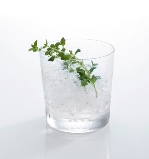 Cocktail glass