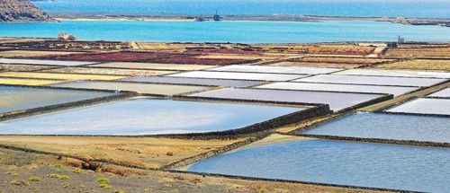 Sea salt production