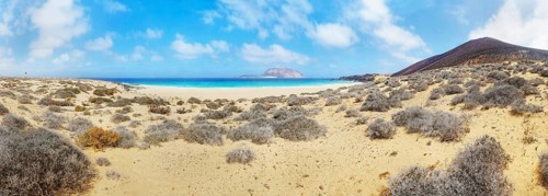 Dune landscape