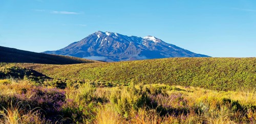 Snow-capped volcanic Mount Ruapehu in Tongariro National Park