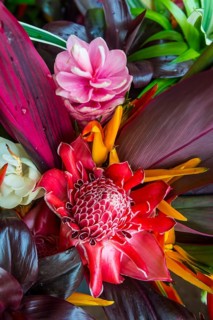 Colourful flowers for sale