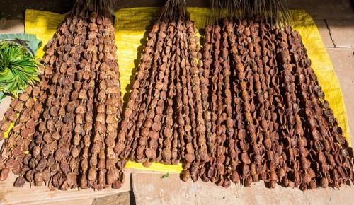 Betel nuts (Areca catechu) for sale in a market in Maubisse