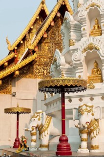 Elephants and Buddha statues at the Chedi or Stupa