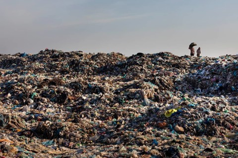 Garbage collector at garbage dump