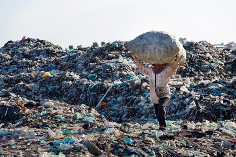 Garbage collector on garbage dump