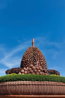 Durian monument