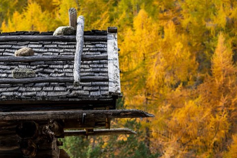 Mountain hut
