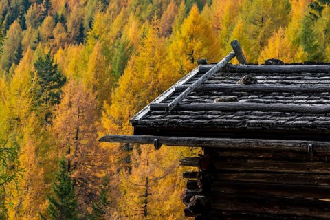 Mountain hut