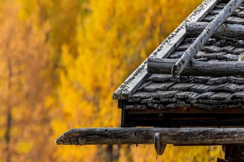 Mountain hut