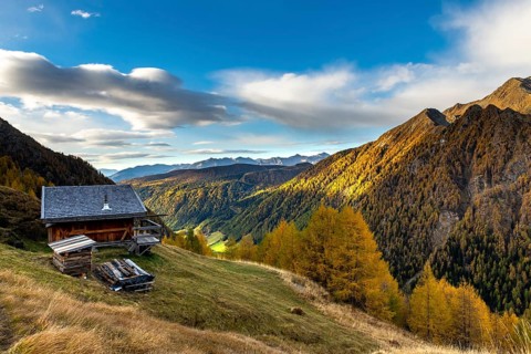 Mountain hut over valley with autumnal mountain larch forest (Larix decidua)