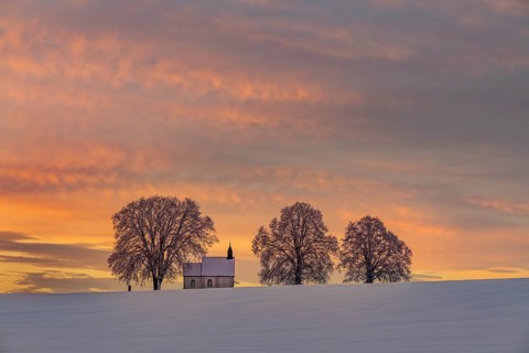 Chapel 14 emergency helpers with old trees in snow-covered landscape at sunrise