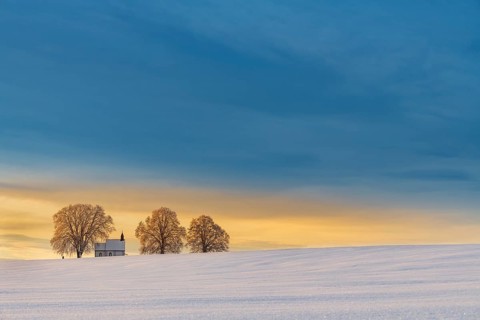 Chapel 14 emergency helpers with old trees in snow-covered landscape at sunrise