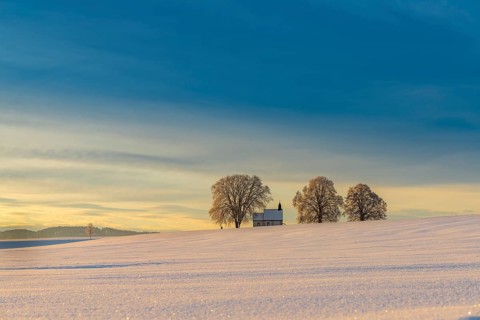 Chapel 14 emergency helpers with old trees in snow-covered landscape at sunrise