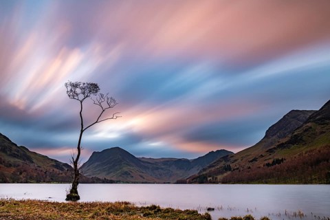 Single tree in the lake with reddish clouds