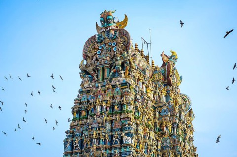 Doves flying around the Sri Meenakshi Sundareshwarar temple