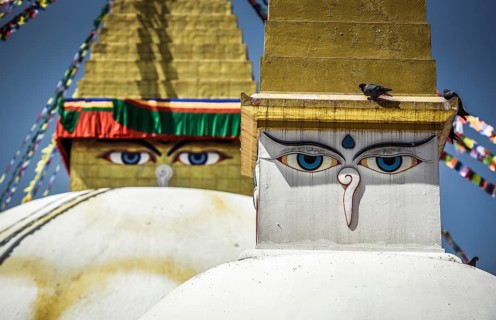 Buddha's Eyes