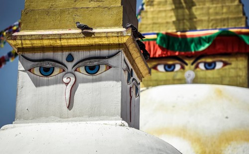 Buddha's Eyes