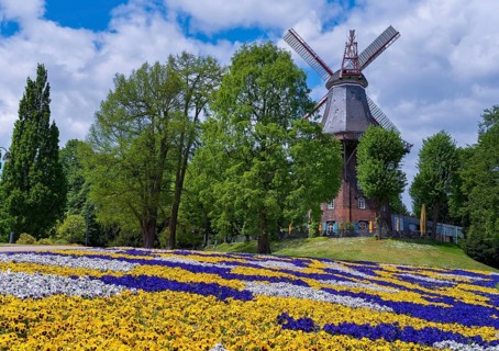 Am Wall Windmill and ramparts