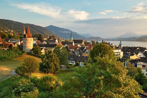 View from rose garden am Guggi to Zytturm