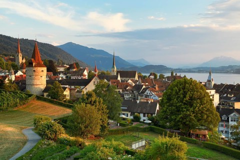 View from rose garden am Guggi to Zytturm