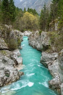 Emerald green wild river Soca flows through narrow canyon