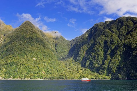 Cruise boat on Doubtful Sound