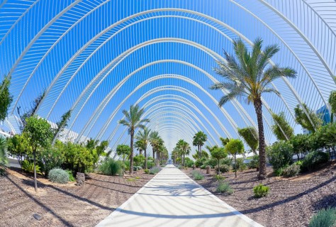 The Umbracle promenade with palm trees