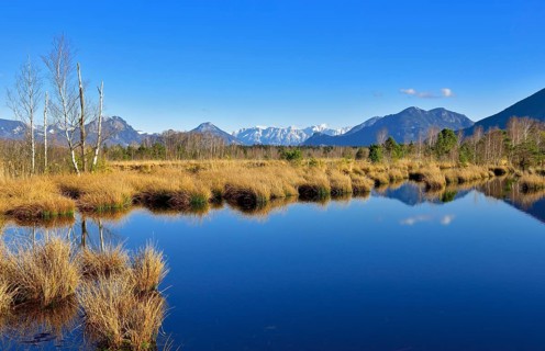 Moor pond