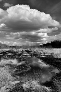 Waterlogged peat extraction site