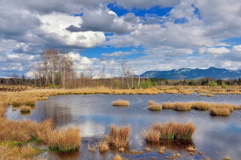Moorland with cloudy skies