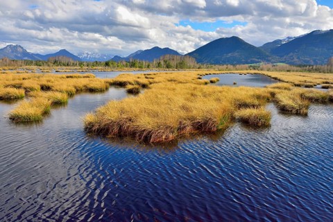 Moorland with cloudy sky