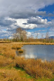 Moorland in cloudy skies