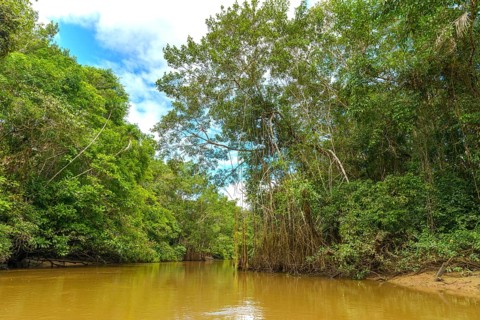 Rio Aguas Negras
