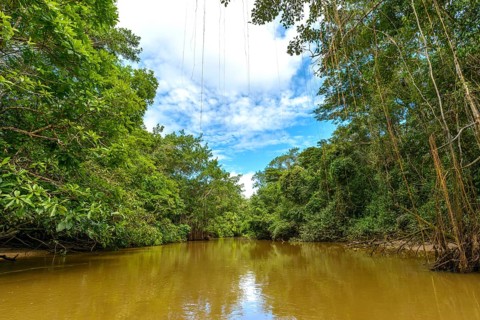 Rio Aguas Negras