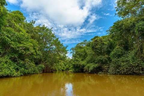 Rio Aguas Negras