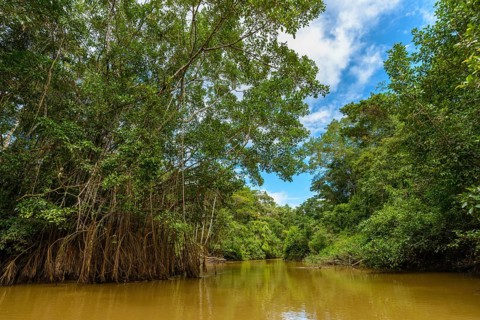 Rio Aguas Negras