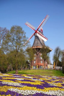 Windmill Herdentorswallmuhle in ramparts in spring