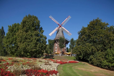 Windmill Herdentorswallmuhle in ramparts in spring