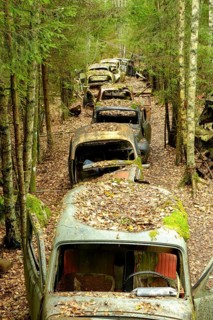 Scrap cars in a row in the forest