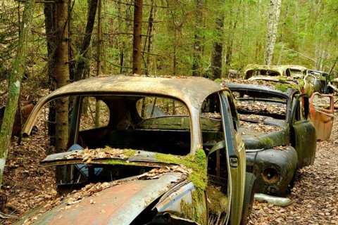 Scrap cars in a row in the forest