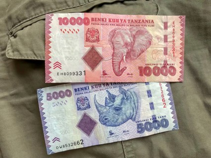 Tanzanian currency