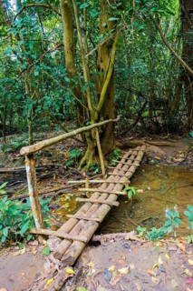 Bridge over a small stream